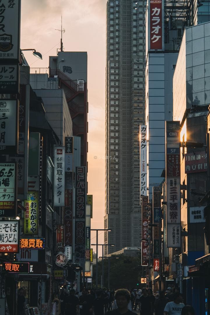 バブルボケ！Meyer TRIOPLAN 100mm F2.8 オールドレンズ