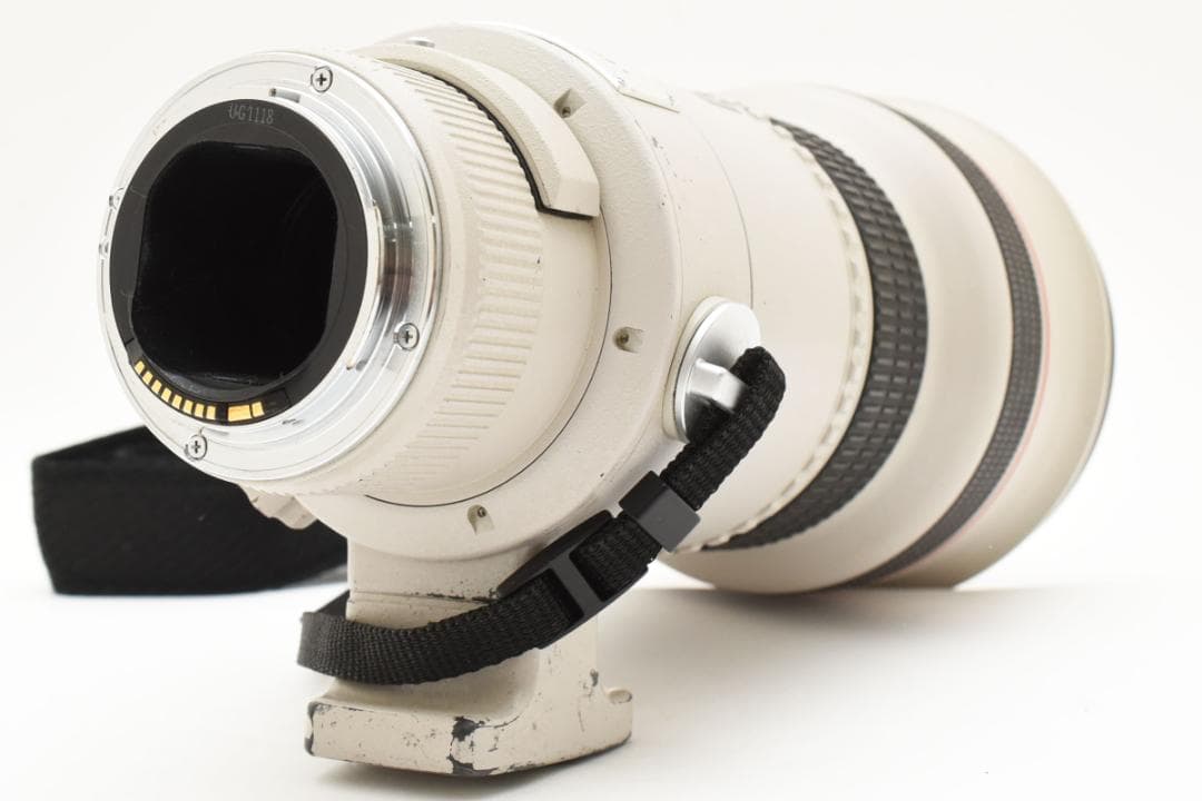 Canon EF 300mm f/2.8 L USM 望遠レンズ #1955