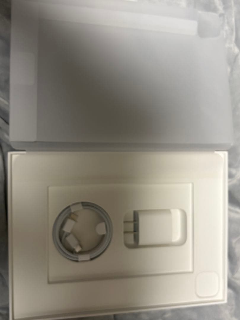 【ジャンク】iPad Pro 11 第4世代 256GB Wi-Fi