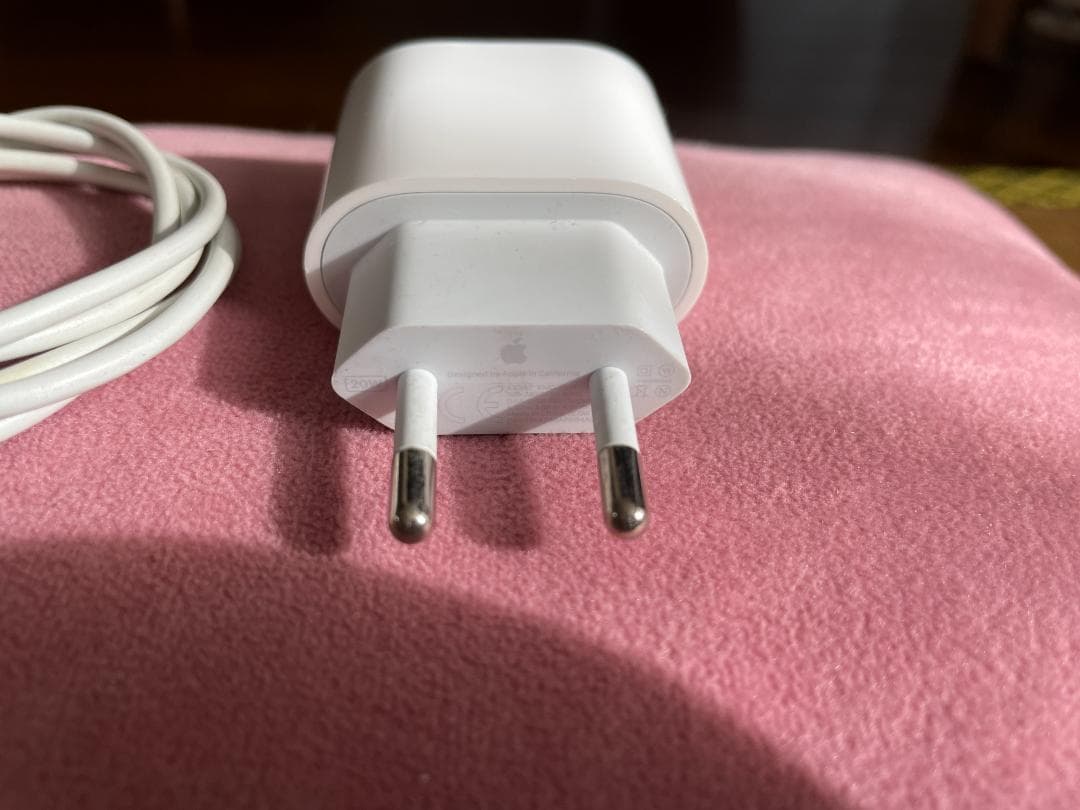 【極美品】Apple iPad Air4 256GB + Pen【4点セット】