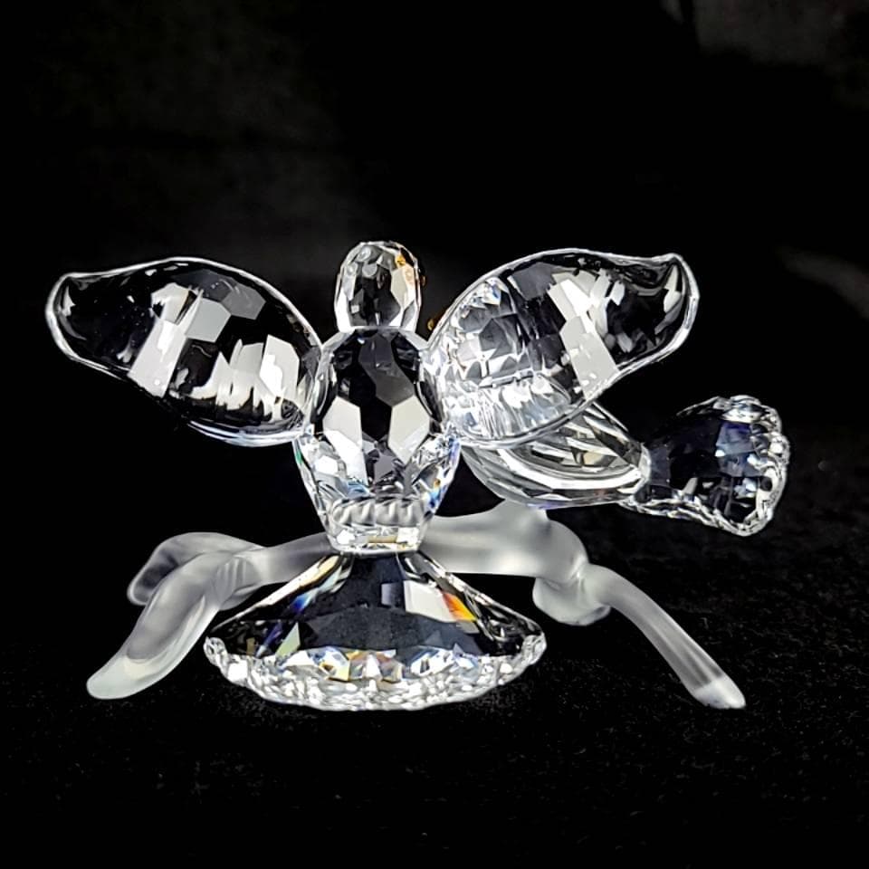 ◆未使用級◆スワロフスキー　キジバト　鳥　鳩　置物　箱つき