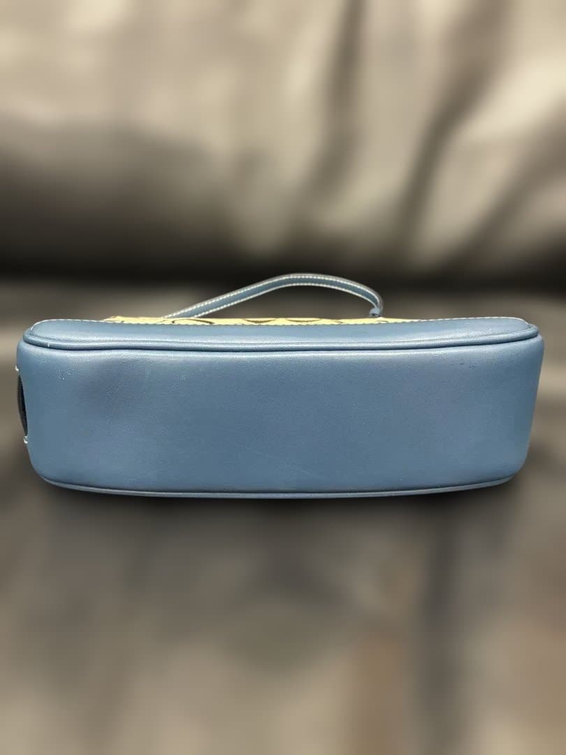 【希少カラー】coach ショルダーバッグ アクセサリーポーチ 青 ブルー