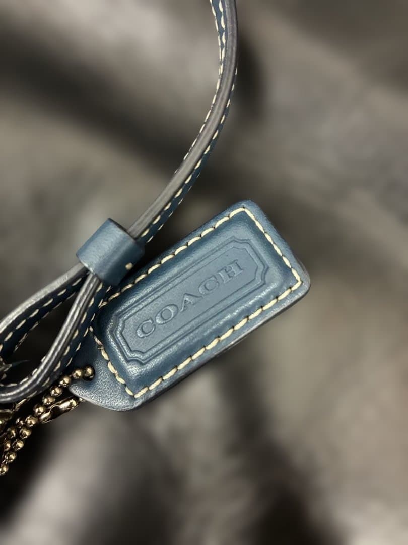 【希少カラー】coach ショルダーバッグ アクセサリーポーチ 青 ブルー