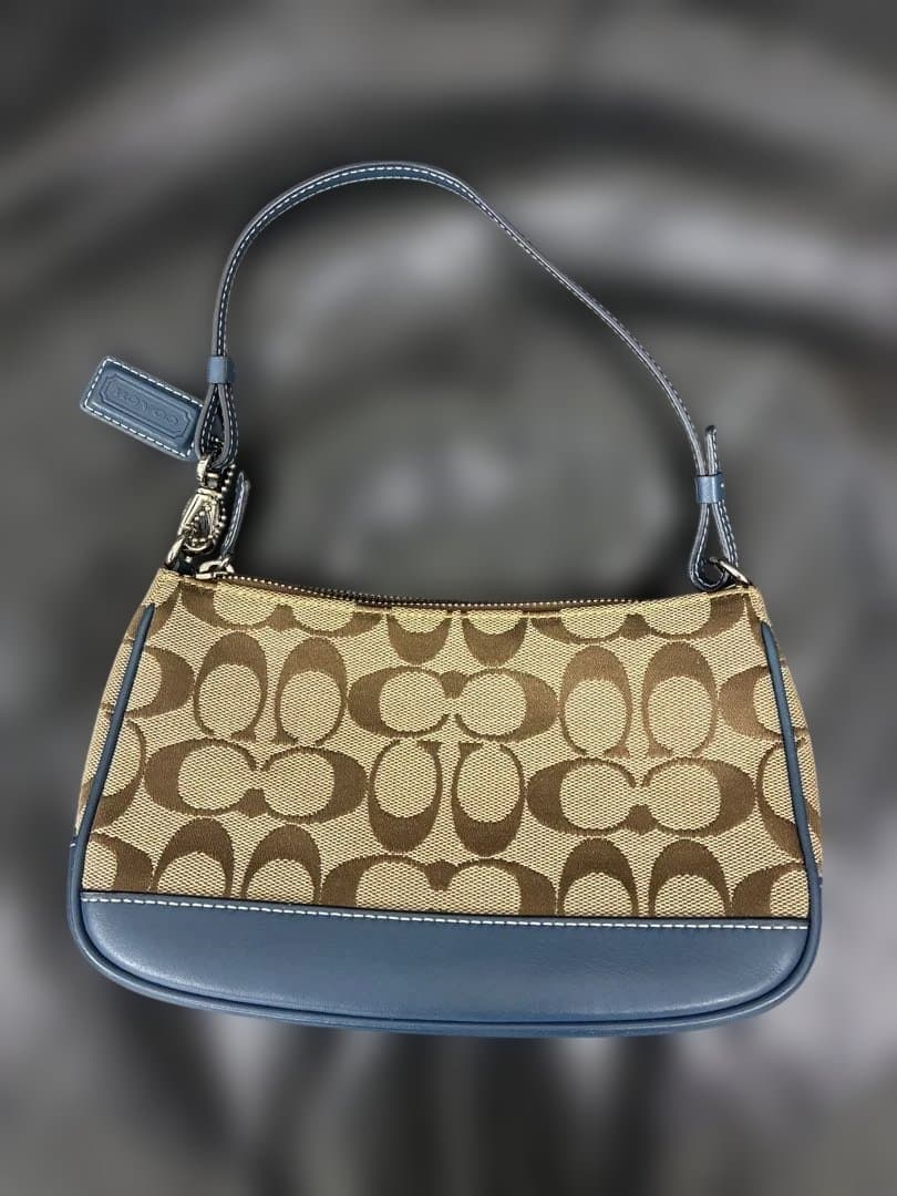 【希少カラー】coach ショルダーバッグ アクセサリーポーチ 青 ブルー