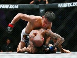 最終値下げone championship 公式オープンフィンガーグローブ