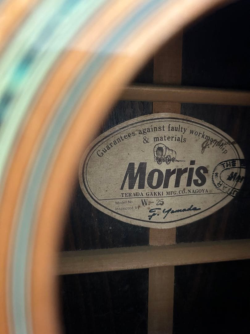 Morris　ギター　本体のみ W-25