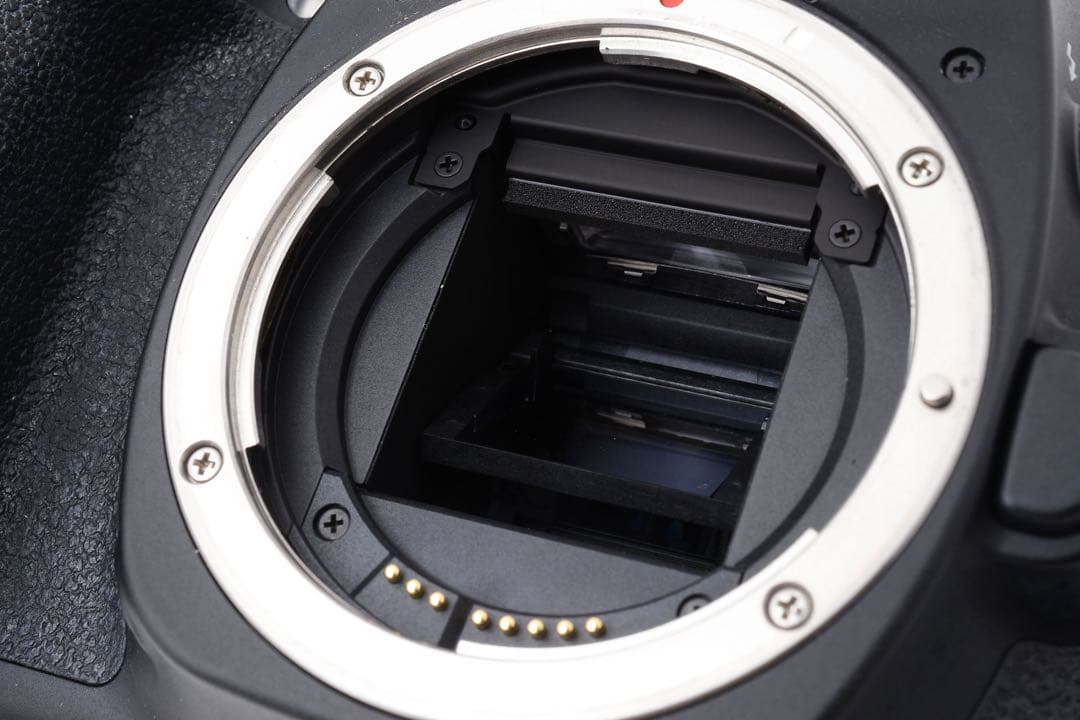 デジタルカメラ Canon EOS 80D /Canon EF-S18-135mm USM