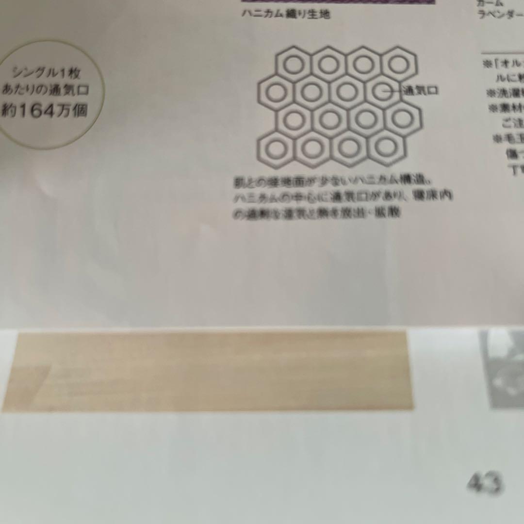 POLA オルガヘキサ　サマーメンテナンスケット新品