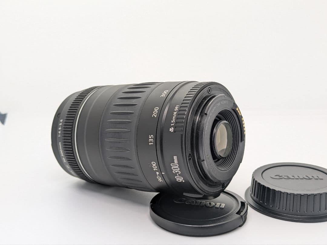 1月19日限定価格♪【超望遠レンズ】Canon EF 90-300mm