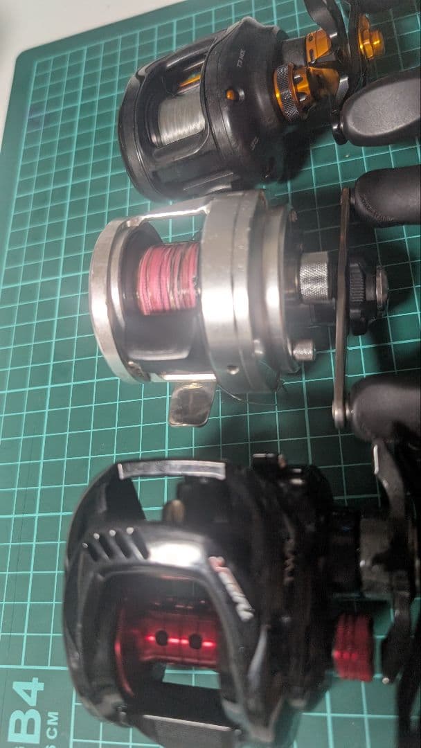 バラ売りなし タトゥーラ T3 カルカッタ