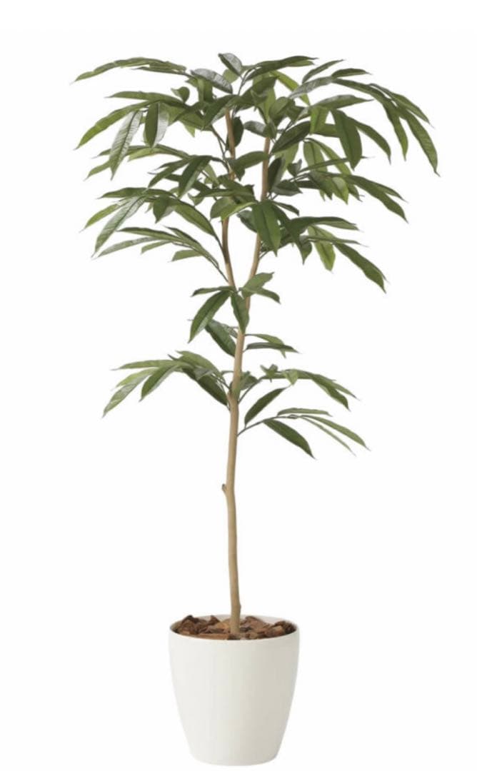 光触媒　人工観葉植物　フェイクグリーン　アムステルラバーキング 1.8m