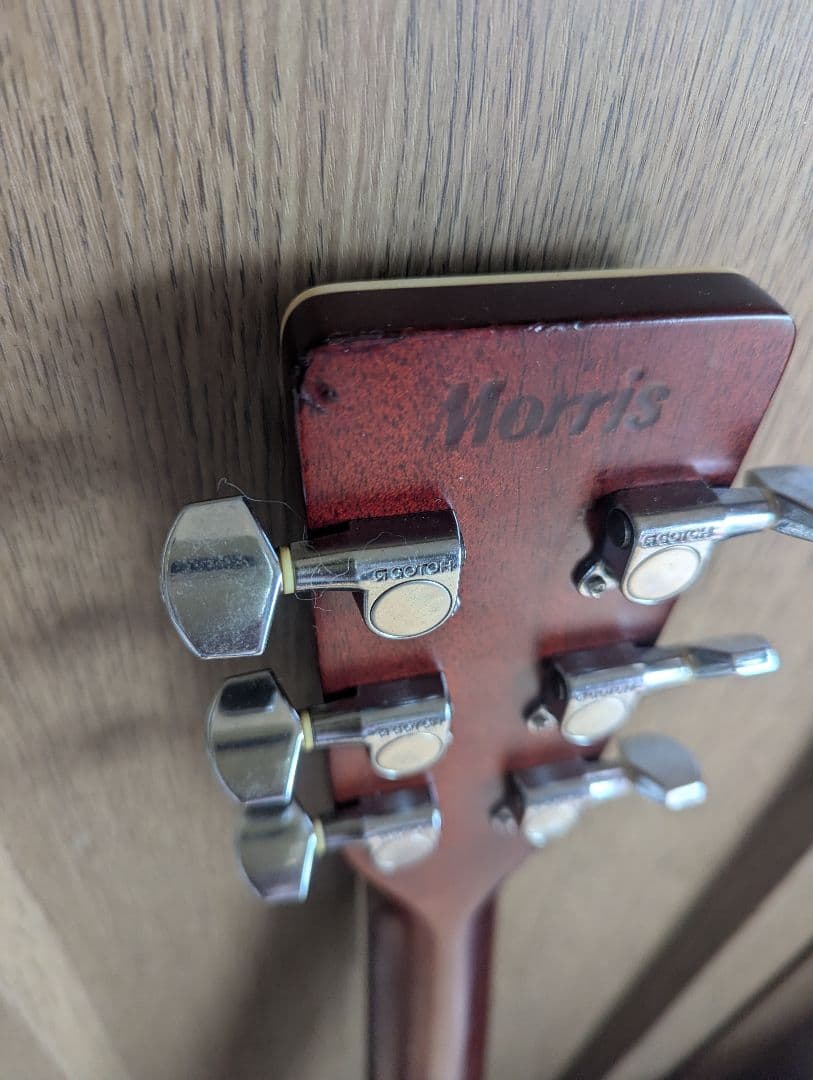 ♪Morris TF-50SP スペシャル・ハカランダ・トップ単板♪