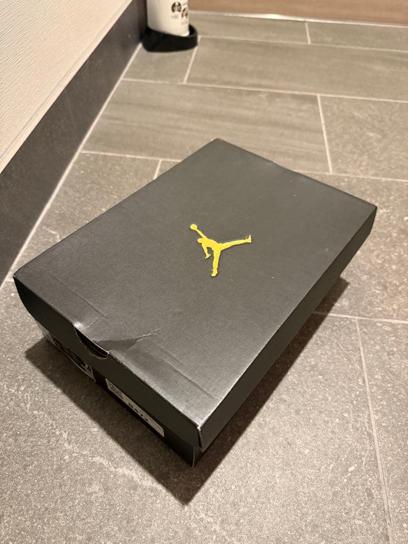 ナイキ エアジョーダン 12 ロー ゴルフ “タクシー　25cm【箱付き】