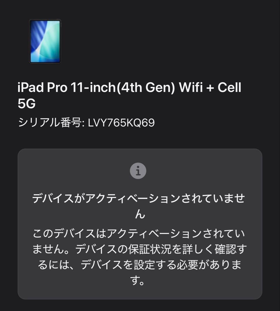 iPad Pro 11インチ 第4世代 256GB セルラーモデル シルバー