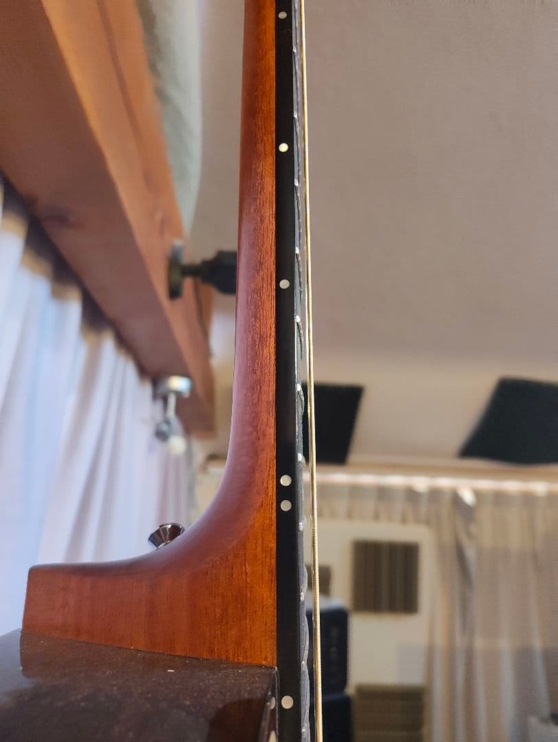 アヌエヌエ　aNueNue aNN-L200E 杉田健司　新品同様　オール単板