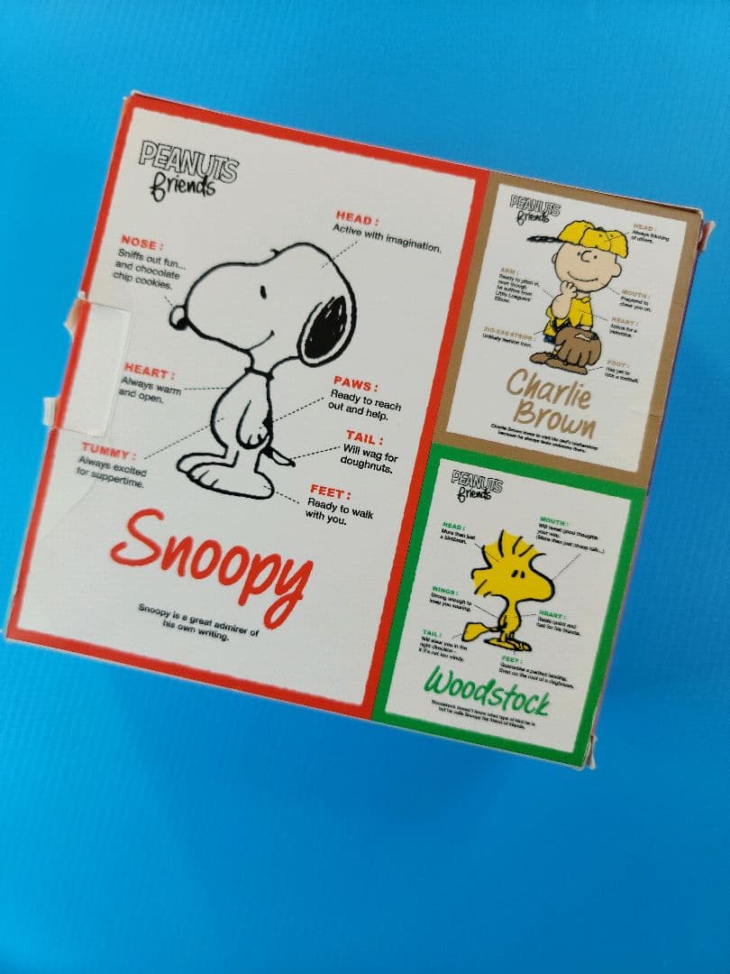 SONY WALKMAN NW-S313K「SNOOPY Style …