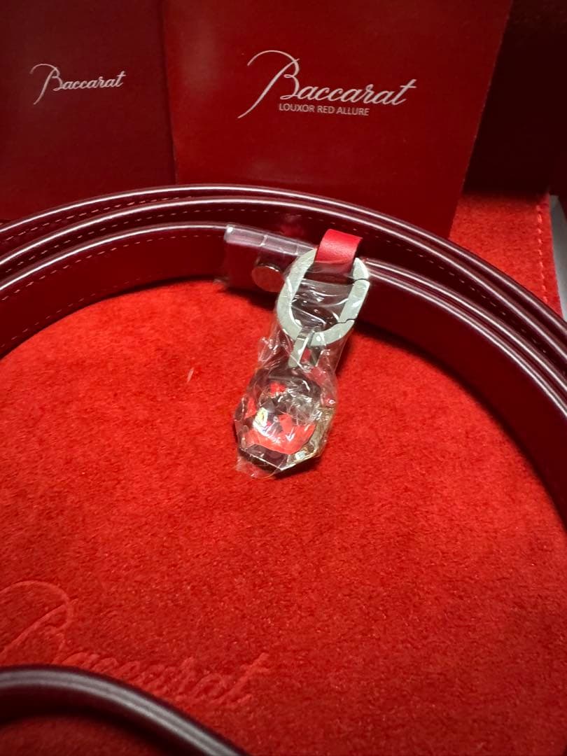 Baccarat バカラ　ペットリード