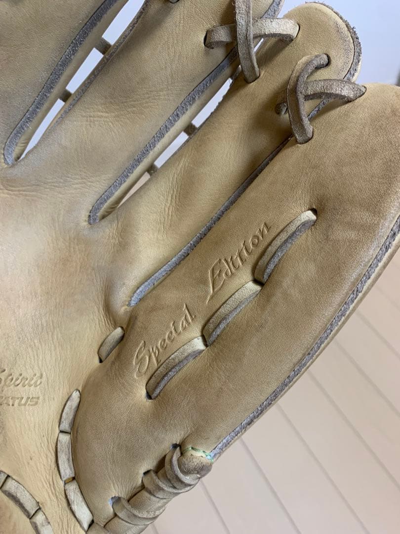 ZETT 硬式グローブ プロステイタスSE