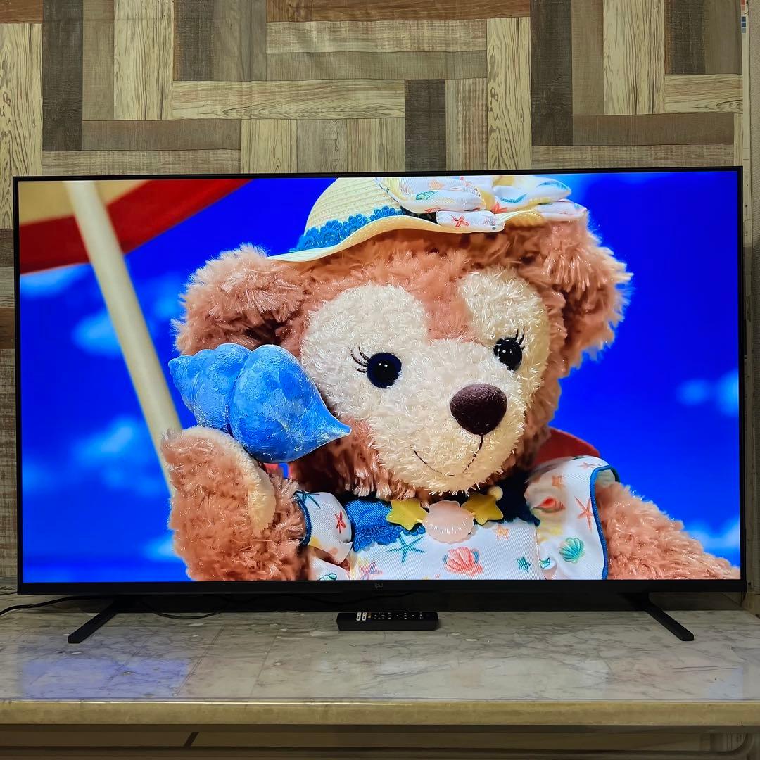 全国送料込❣️昨年購入FPD55T型4K液晶GoogleTV ネット動画多数