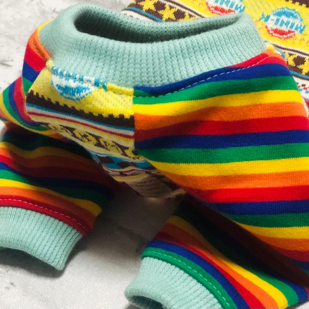 ⭐︎犬服⭐︎handmade ラグラン