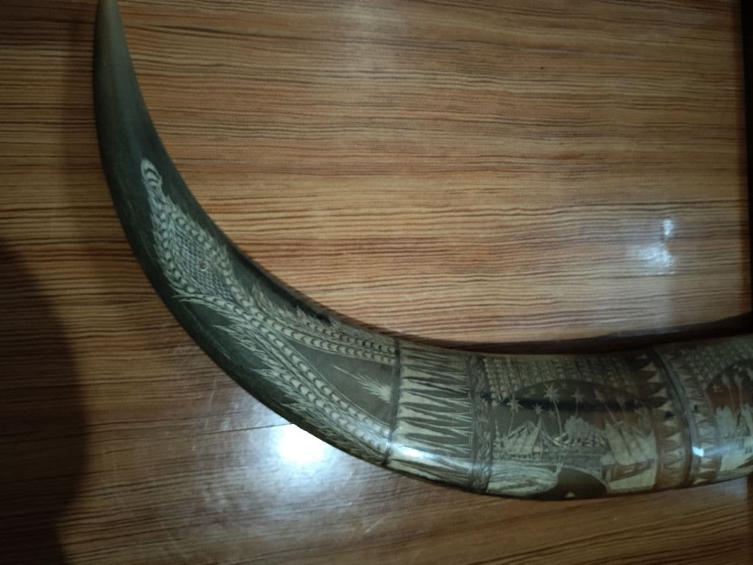 水牛つの　装飾品　インテリア　コレクター　コレクション