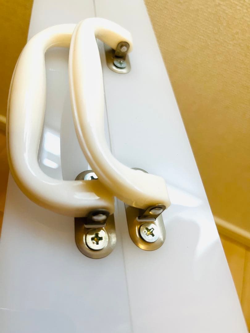 【2月10日出品取り消し】イクイリブリアム キャリーケース （2ケース）