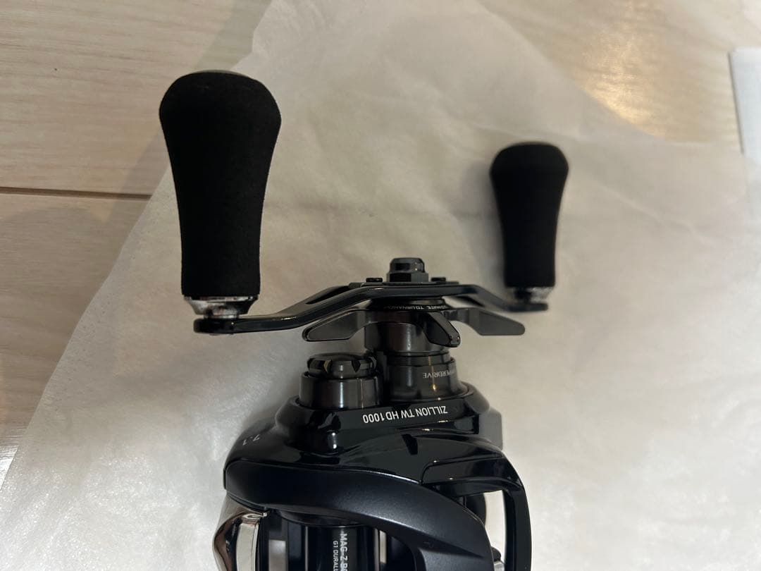 ダイワ 22 ジリオン TW HD 1000HL