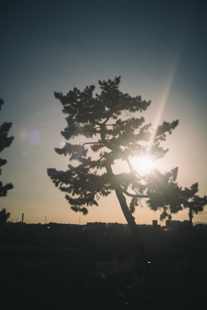 訳ありSALE！Leica Summicron 50mm 1st 沈胴