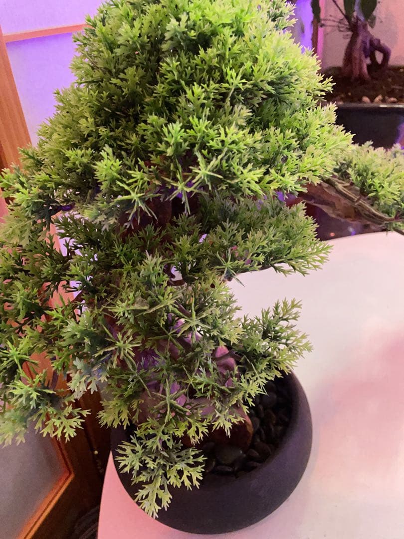 人工観葉植物 盆栽風 中型 緑