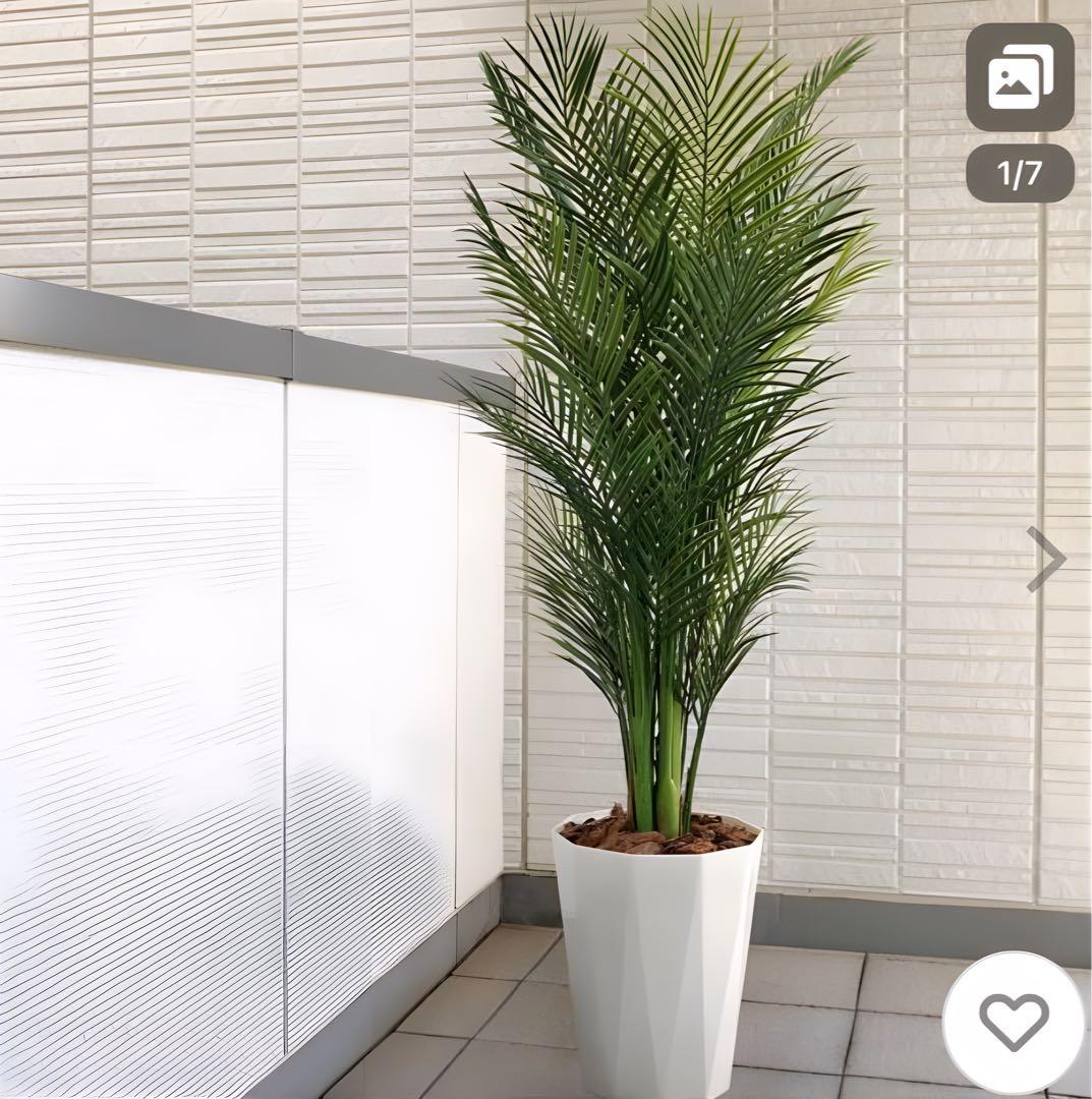 光触媒　人工観葉植物　ウォールグリーン　フェイクグリーン　アレカパーム1.7m