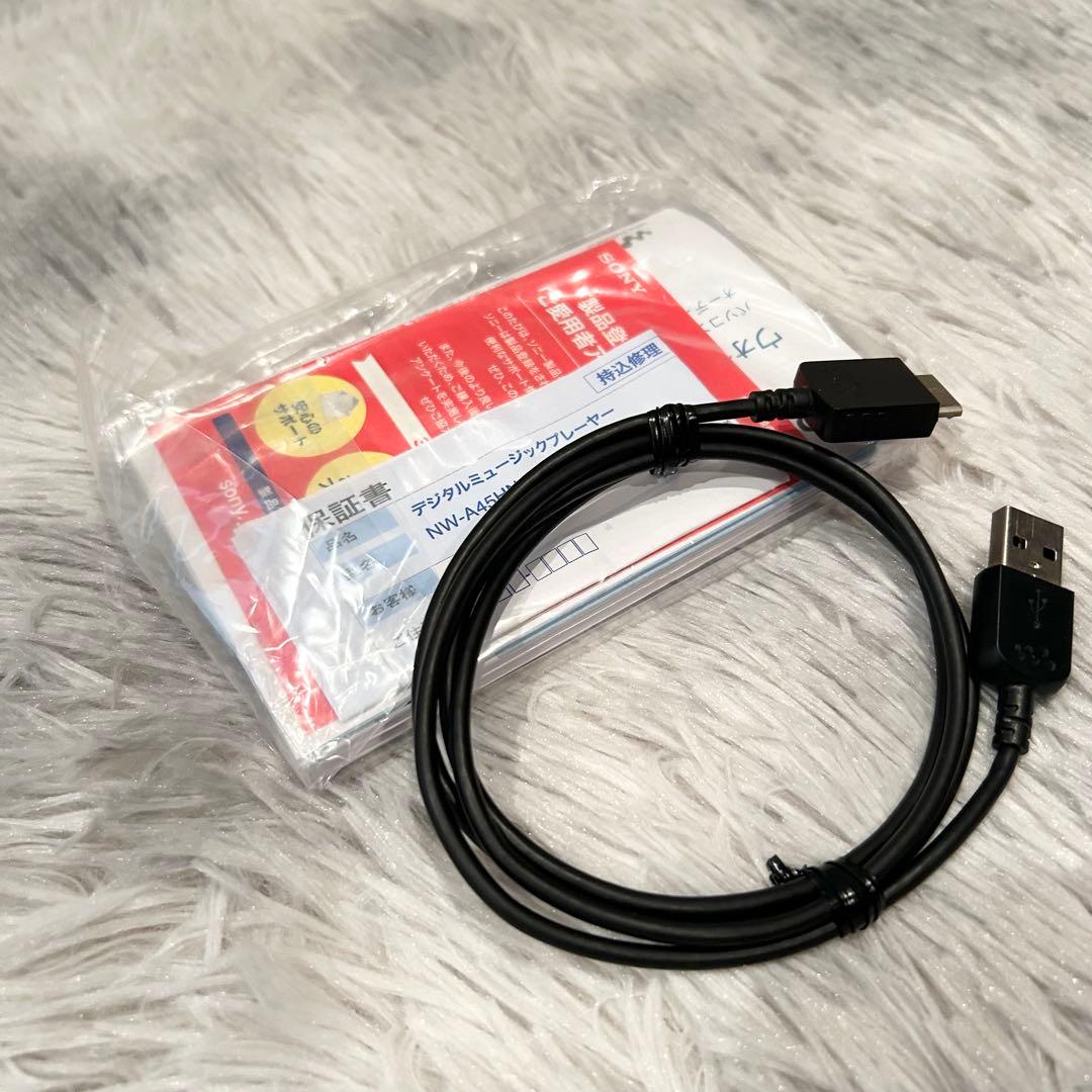 【極美品】 ソニー ウォークマン Aシリーズ NW-A45HN 　SONY