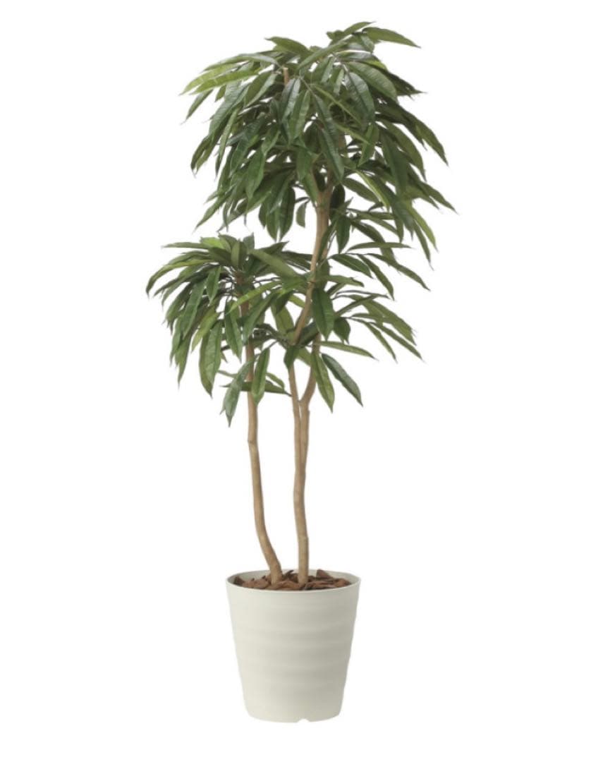 光触媒　人工観葉植物　フェイクグリーン　アムステルラバーキング1.8