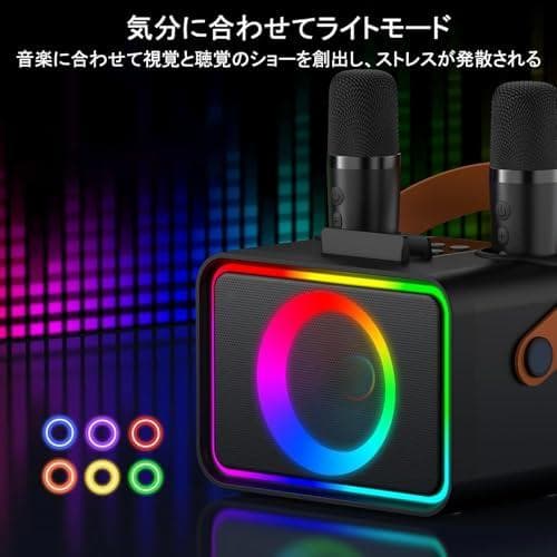 スピーカーセット カラオケ マイク 2本 Bluetooth5.3 カラオケセp