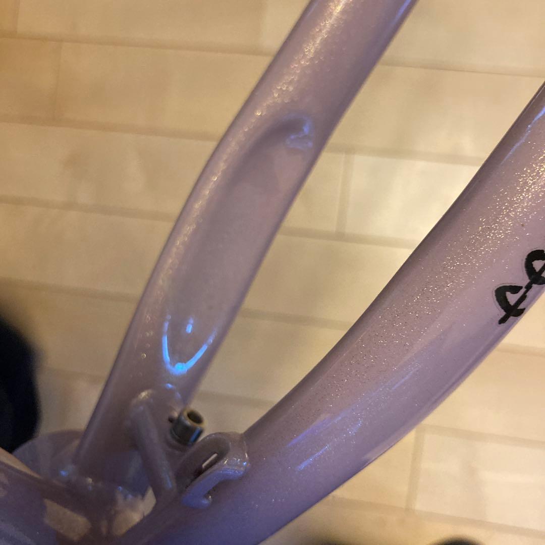 サーリー ミッドナイトスペシャル　surly midnight specia