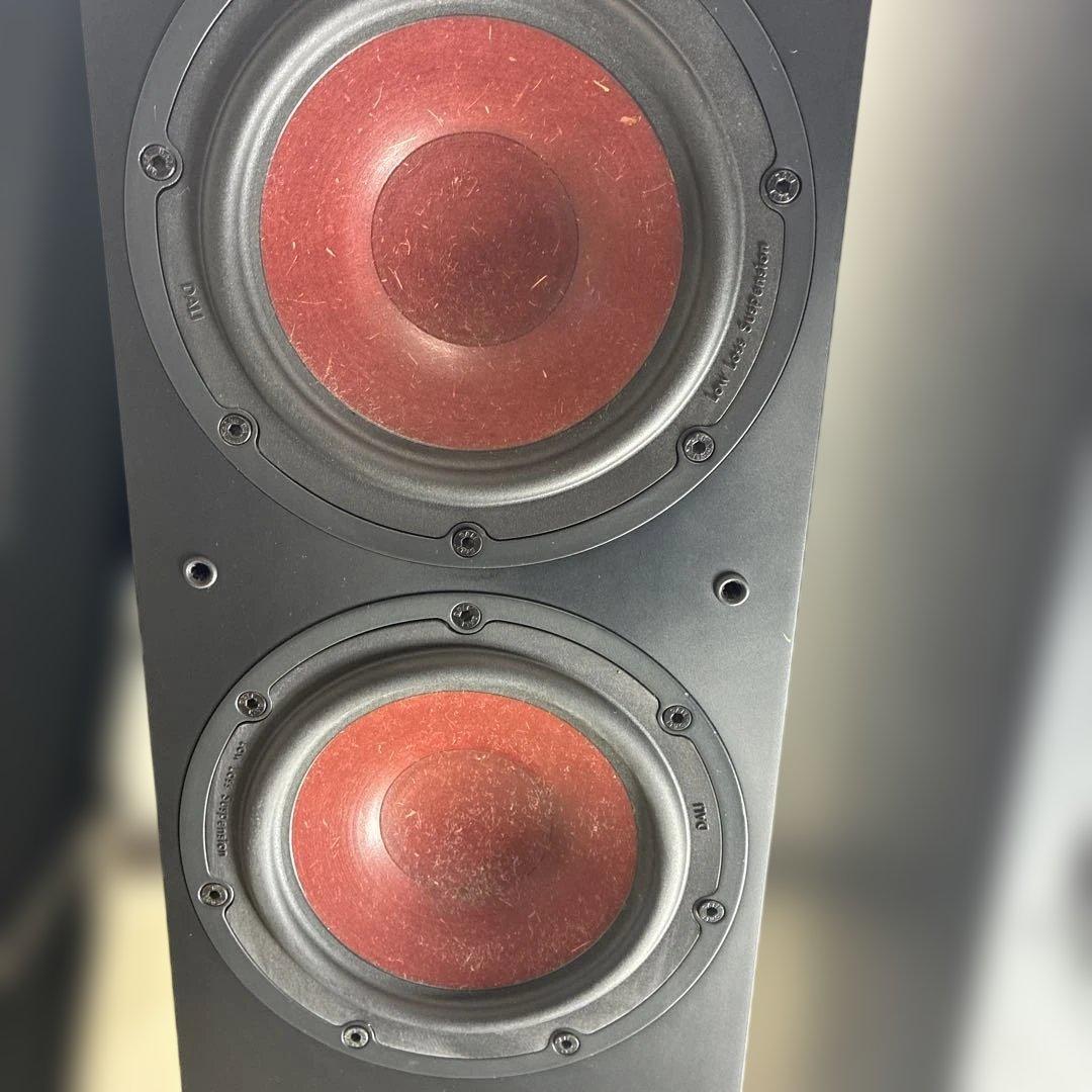 動作確認済みDALIトールボーイ型スピーカー「IKON 6 MK2」 ♣️0431