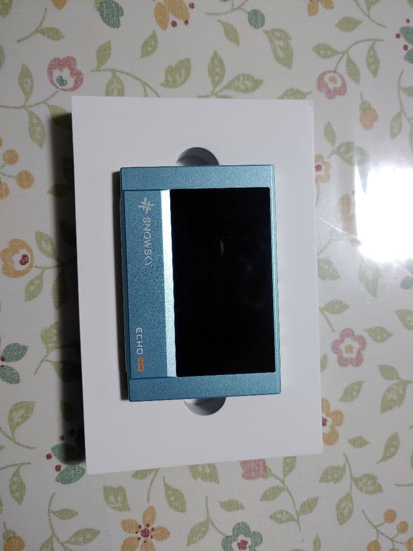 Fiio ehco mini ほぼ未使用