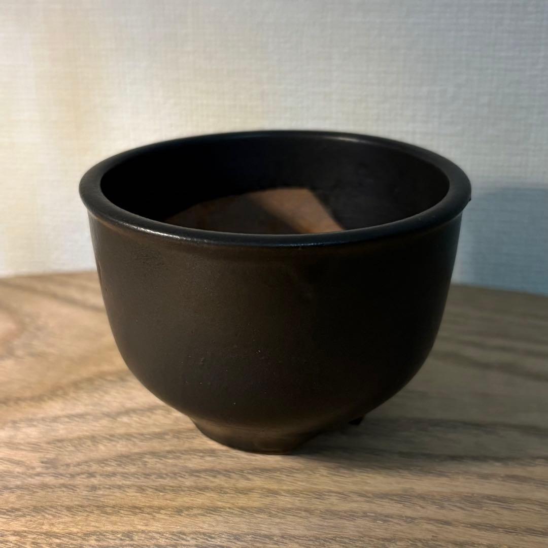 早い者勝ち ボタブロ限定50個 みやび鉢＋おまけ鉢