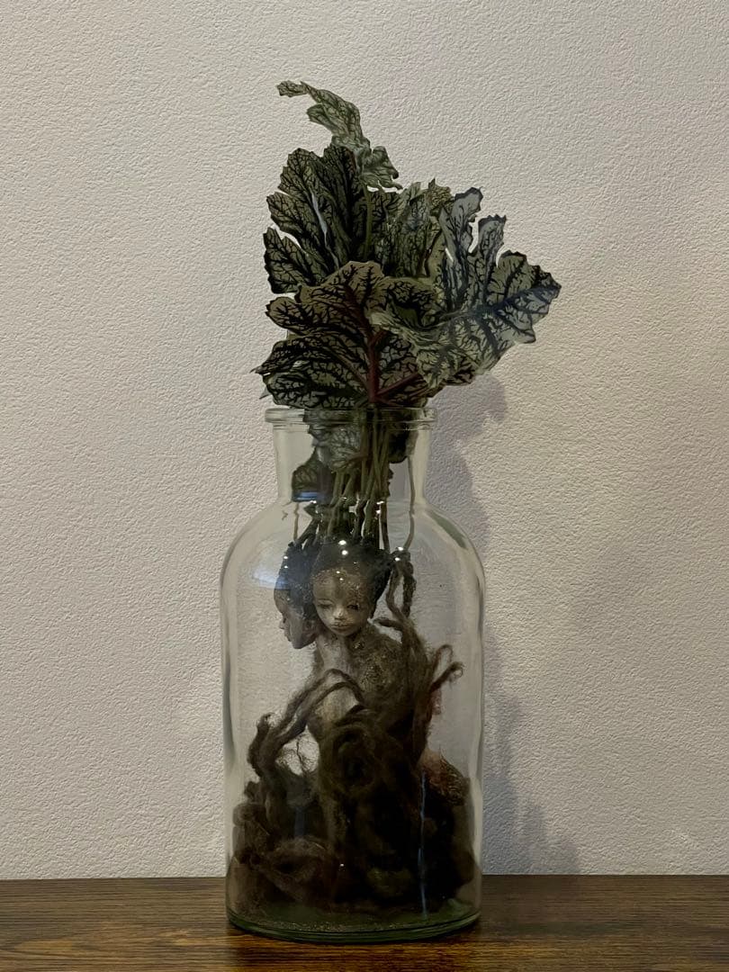 創作人形・ウーマンドレイクの標本「同じ土の記憶（Shared Soil）」