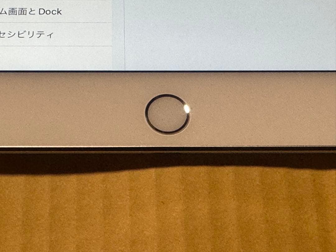 iPad本体 Apple iPad mini 4 Wi-Fi 128GB MK9P2J/A