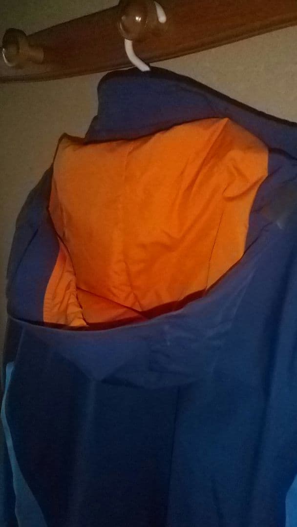 スキー Patagonia GORE-TEX L-size