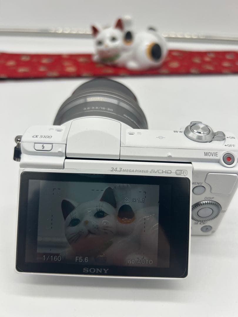 SONY α 5100 E 16-50mm シャッターカウント174