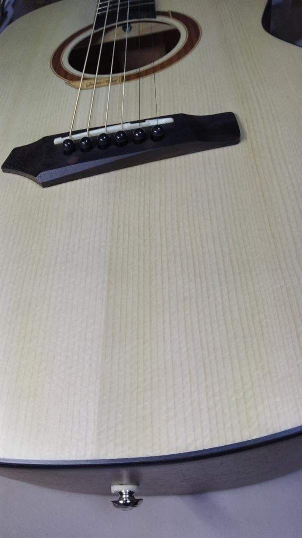 ❤️弦高調整済！「Gopher ゴフェル I110SX 」サウンドピラー内蔵！