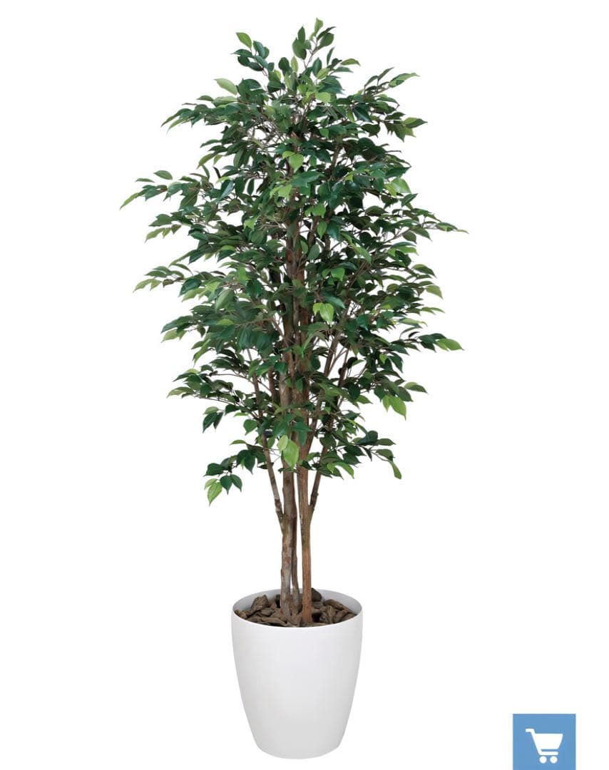 光触媒　人工観葉植物　フェイクグリーン　ロイヤルベンジャミン1.8