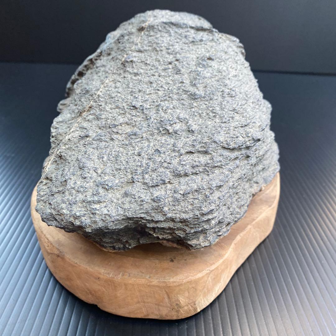 【日本三大銘石佐治石】 古代石 採石禁止石 鯨形 珍品