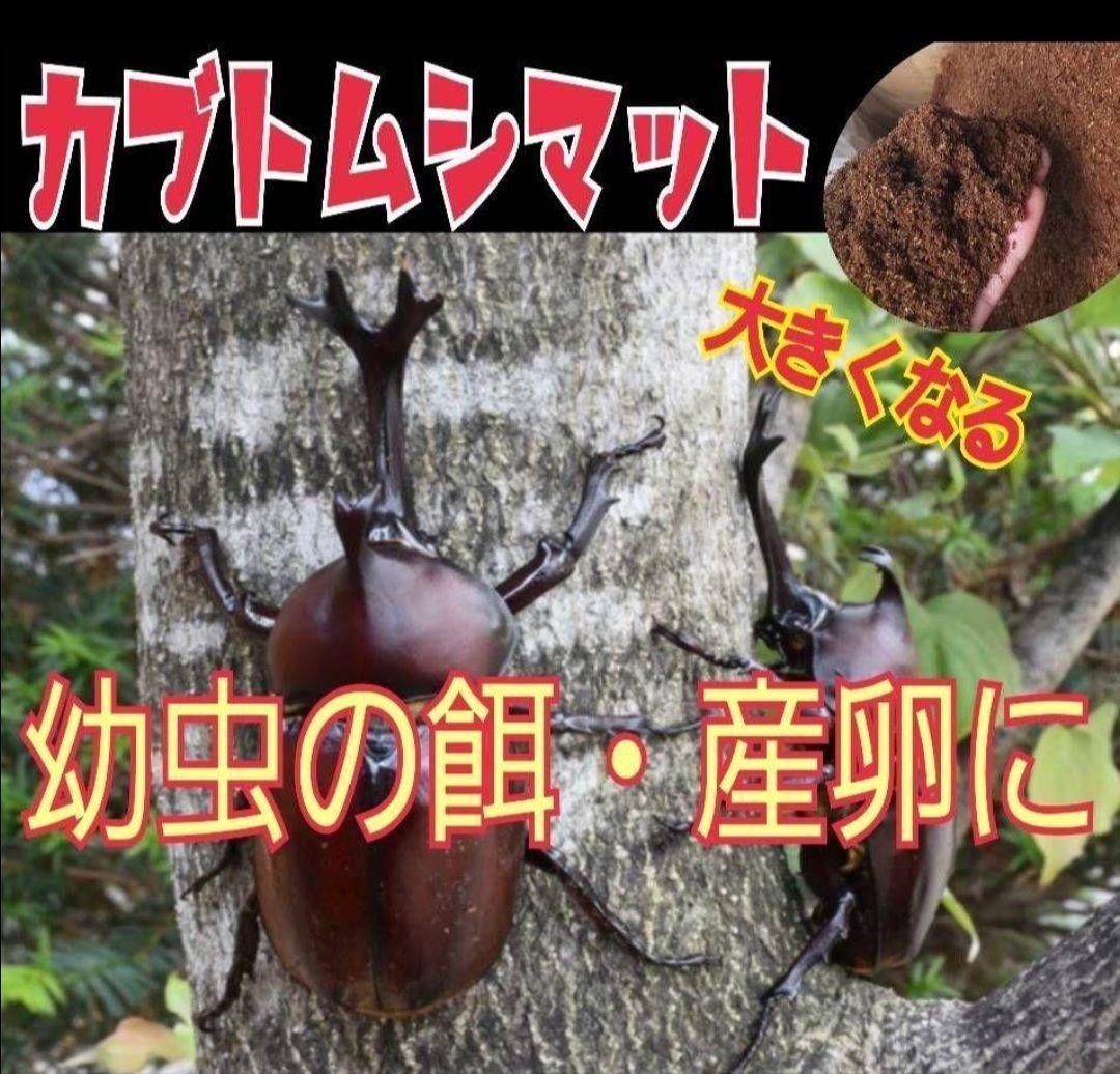 60リットル　ヒマラヤひらたけ発酵カブトムシマット　幼虫がビックサイズになります