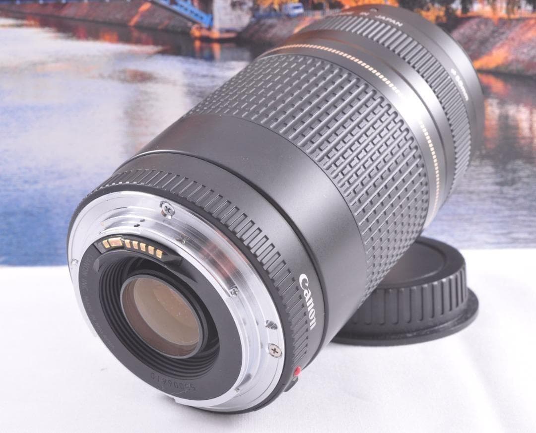 貴重な一瞬を望遠で！Canon キヤノン 望遠レンズEF75-300mm♦