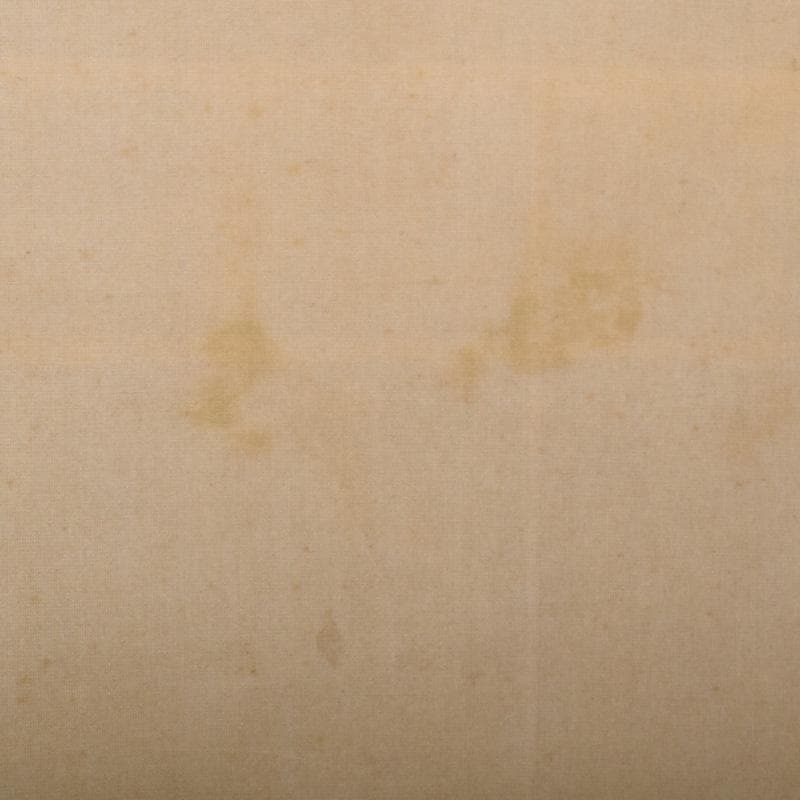 アニメ映画　掛軸　東明画　釈迦降誕之図　C　8075A