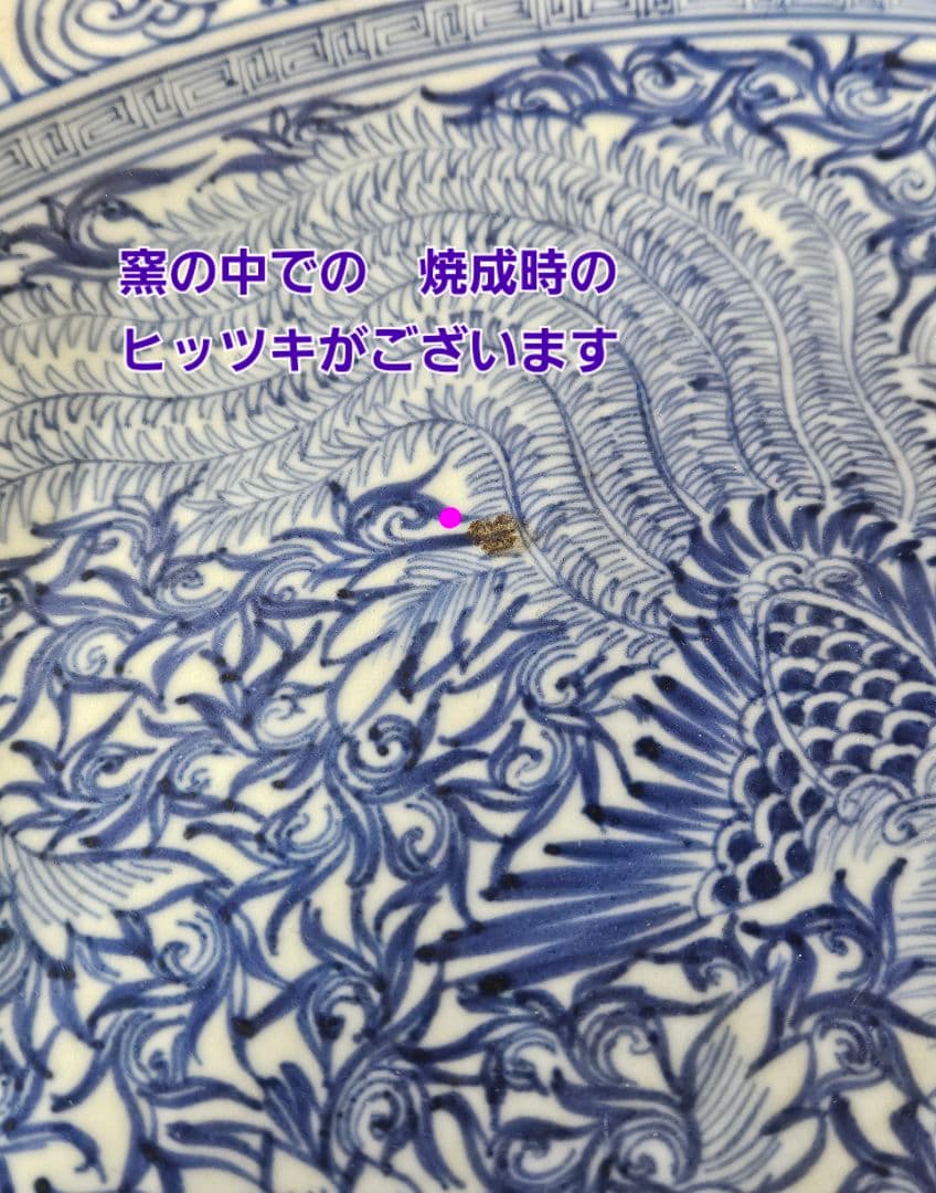 江戸時代後期　古伊万里　染付　鳳凰に牡丹唐草文様　大皿　兜皿　径 約40.8cm