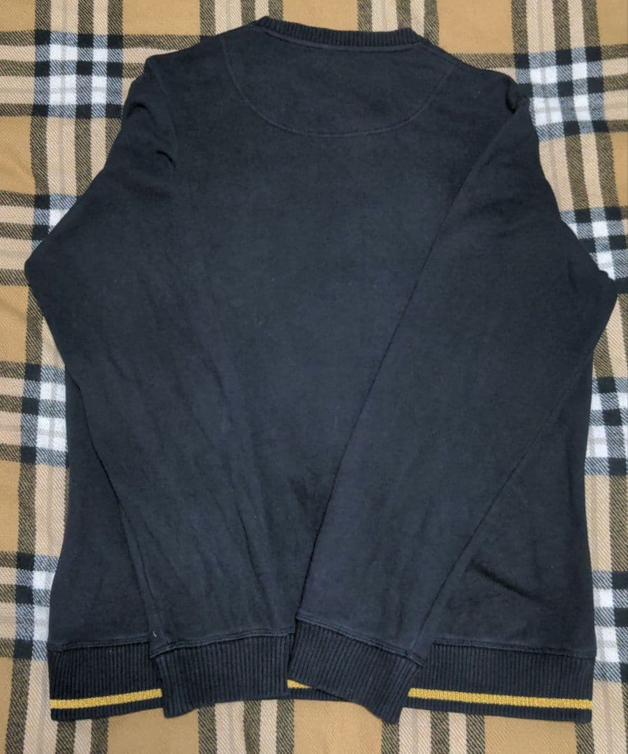 レア KENZO トレーナー 赤い虎 グラフィック スウェット M