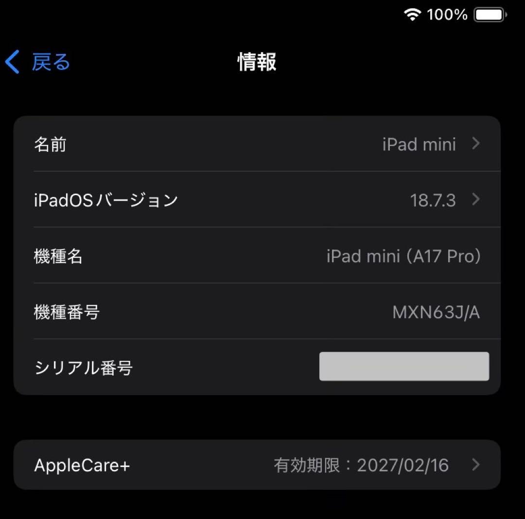 S*N様 iPad mini 第7世代　128GB スペースグレイ　A17 pr